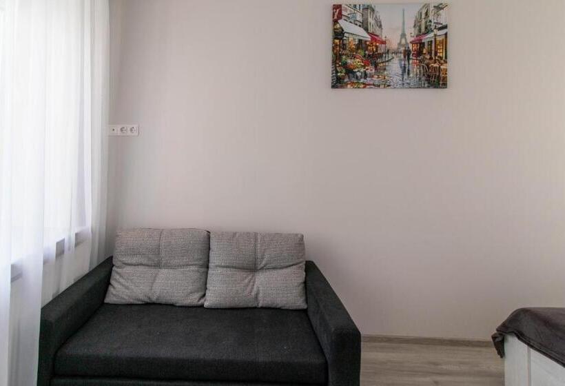 آپارتمان 1 خوابه, Dzukija