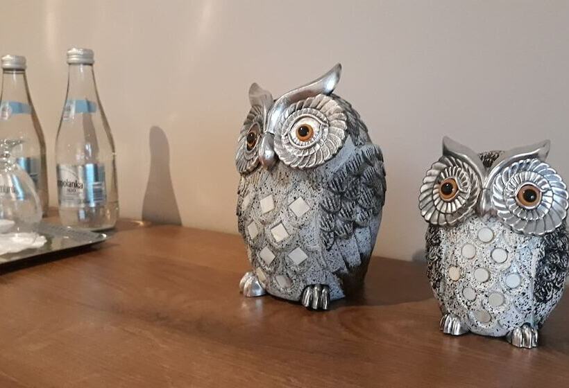 דירת חדר, Gem