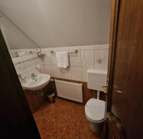 اتاق استاندارد یک نفره, Razgorsek