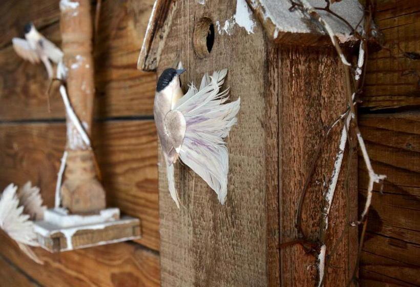 Basis Zimmer, Linnen