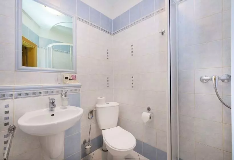 اتاق استاندارد یک نفره, Wellness Penzión Vila Mery