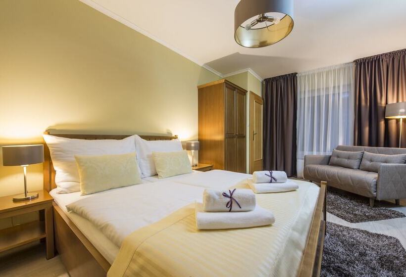 标准单人间, Wellness Penzión Vila Mery