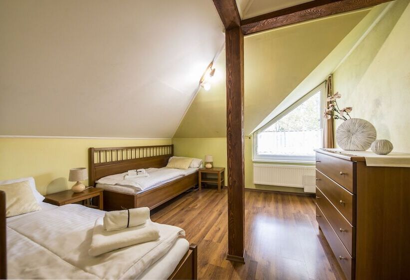 آپارتمان لوکس 1 خوابه, Wellness Penzión Vila Mery