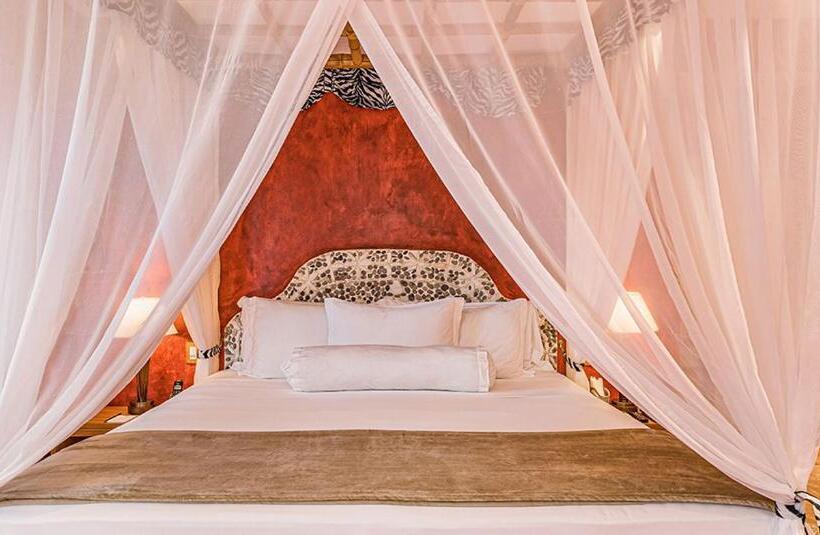 سوئیت با وان آب گرم, Dpny Beach Hotel & Spa Ilhabela