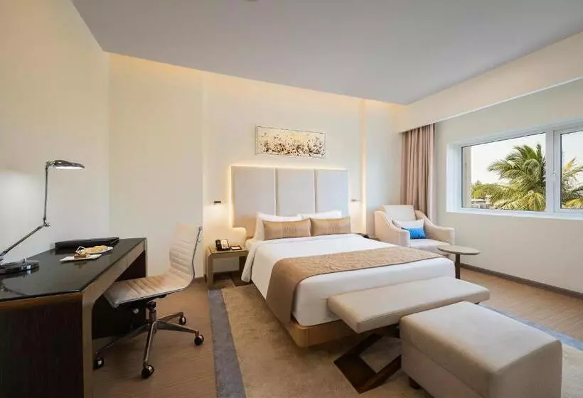 Suite, Claresta