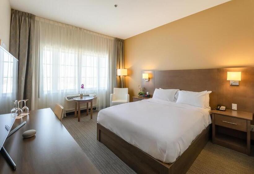 스탠다드 룸, Imperia Hôtel Et Suites Terrebonne