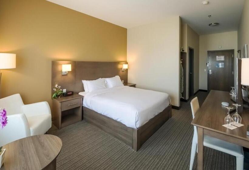 스탠다드 룸, Imperia Hôtel Et Suites Terrebonne