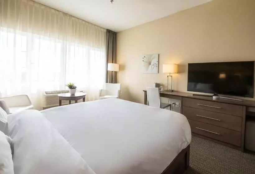 スタンダードルーム, Imperia Hôtel Et Suites Terrebonne