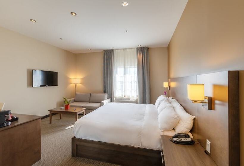 스탠다드 룸, Imperia Hôtel Et Suites Terrebonne