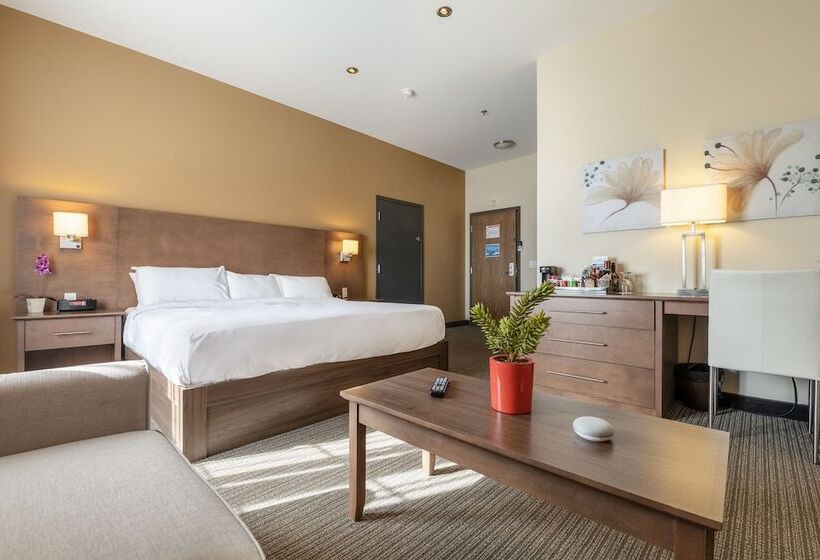 스탠다드 룸, Imperia Hôtel Et Suites Terrebonne