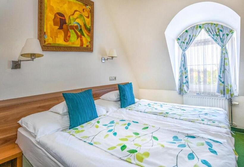 غرفة قياسية, Kiss