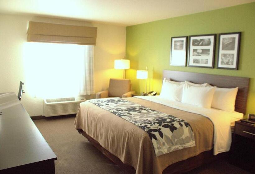 חדר סטנדרט עם מיטת קינג, Sleep Inn Regina East