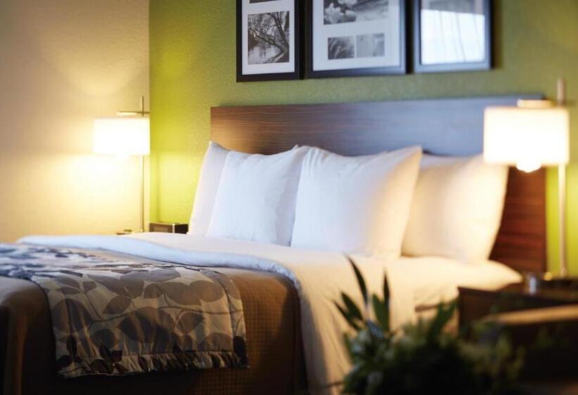 キングサイズベッドのスタンダードルーム, Sleep Inn Regina East