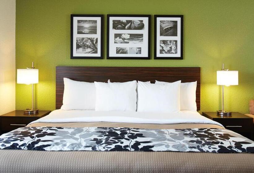 キングサイズベッドのスタンダードルーム, Sleep Inn Regina East