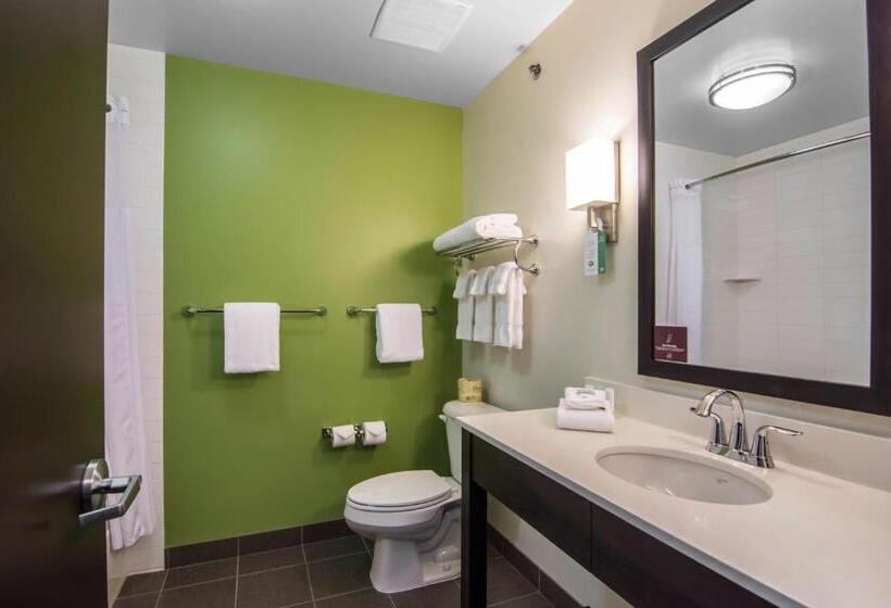 חדר סטנדרט עם מיטת קינג, Sleep Inn Regina East