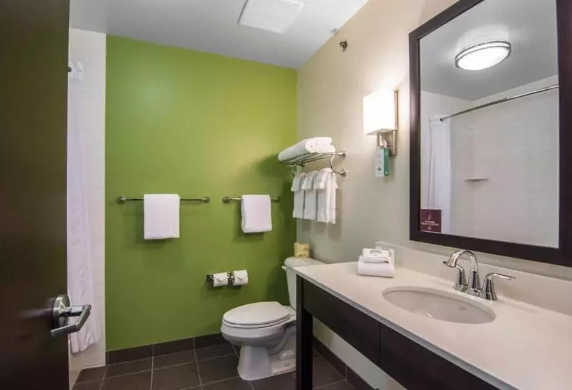 Standard-huone King-vuode, Sleep Inn Regina East