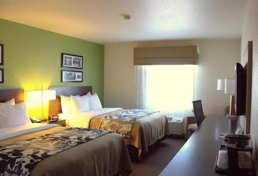 Standard-huone, Sleep Inn Regina East
