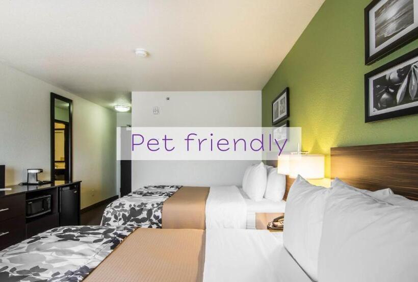 חדר סטנדרט, Sleep Inn Regina East