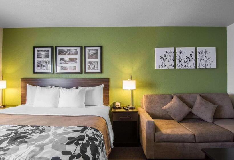 キングサイズベッドのスタンダードルーム, Sleep Inn Regina East