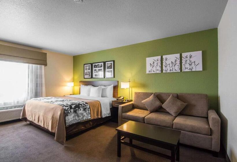 キングサイズベッドのスタンダードルーム, Sleep Inn Regina East