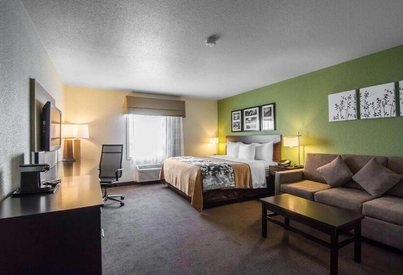 חדר סטנדרט עם מיטת קינג, Sleep Inn Regina East