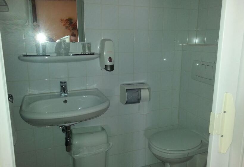 غرفة قياسية, Oranje Hotel Sittard