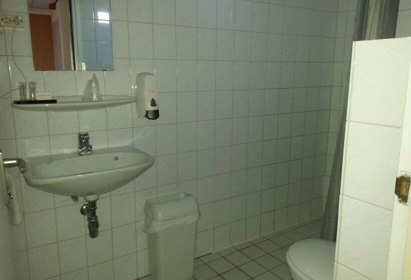 اتاق استاندارد یک نفره, Oranje Hotel Sittard