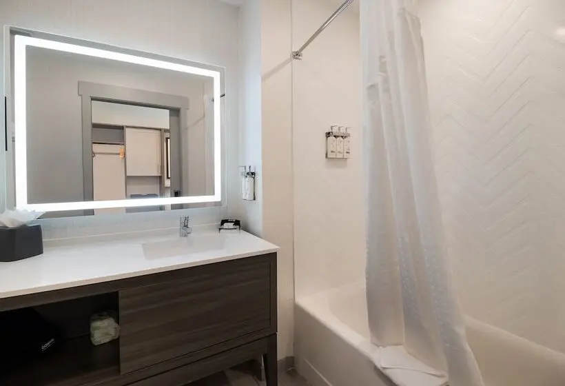 スタンダードルーム, Avid Hotels Mt Juliet – Nashville Area By Ihg