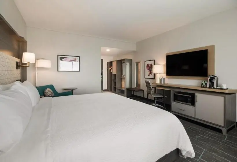 スタンダードシングルルーム, Avid Hotels Mt Juliet – Nashville Area By Ihg