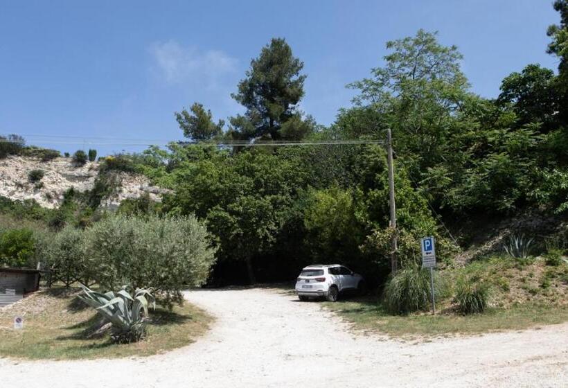 سوییت خانوادگی, Fonte D Olio Conero Relais