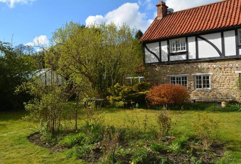 סוויטה דלוקס, Bohemianbreezebreaks