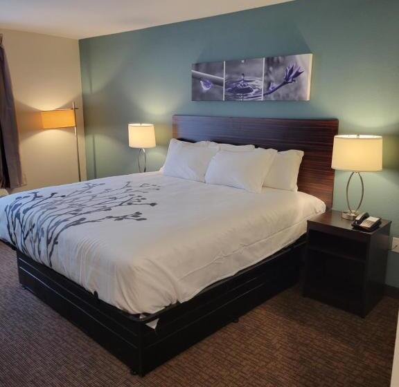 带大床的标准间, Sleep Inn Greensboro   Coliseum Area