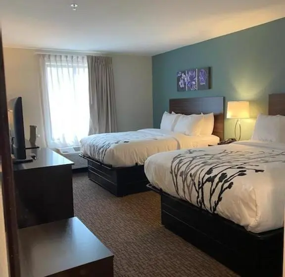Standard Neljän Hengen Huone, Sleep Inn Greensboro   Coliseum Area