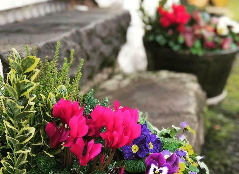 غرفة ديلوكس سرير كينج, Nether Glenny Farm