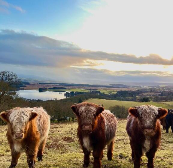 غرفة ديلوكس سرير كينج, Nether Glenny Farm