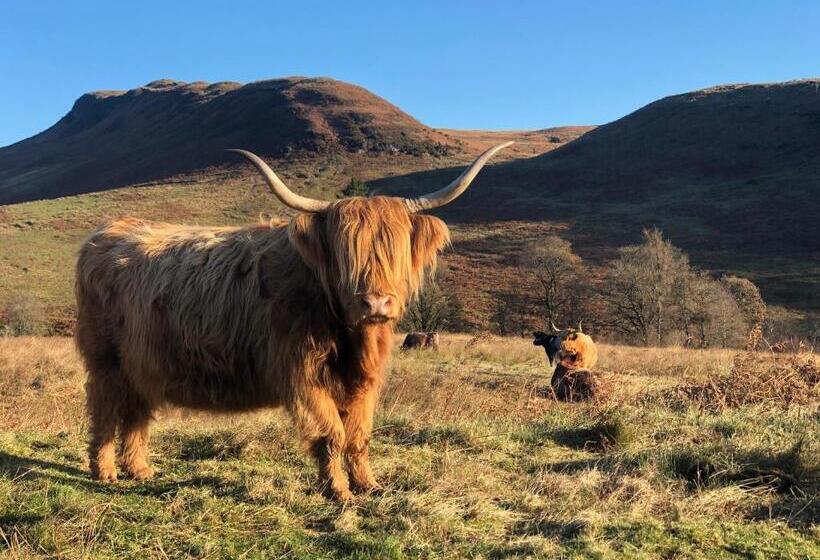 منزل غرفة نوم واحدة, Nether Glenny Farm