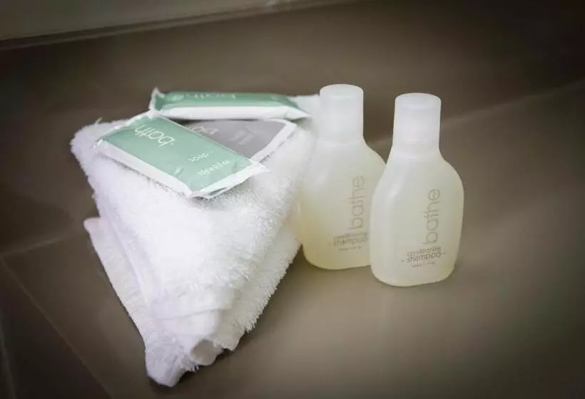 آپارتمان 1 خوابه, Aspen Manor Motel