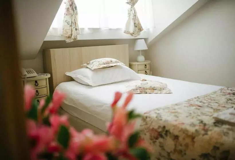 اتاق استاندارد یک نفره, Garni Hotel Andric