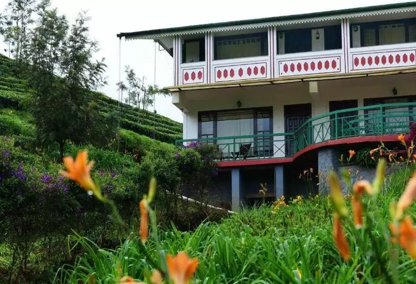 デラックスルーム, Camelot Resort