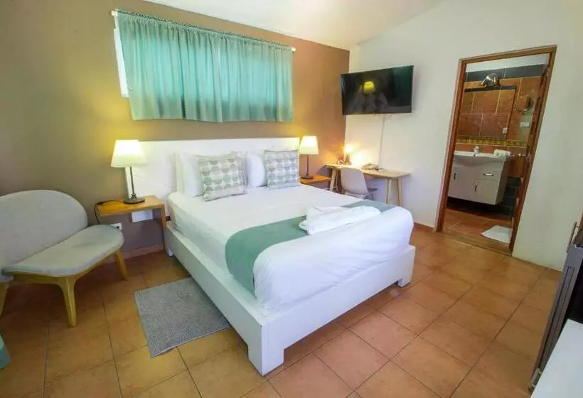 اتاق استاندارد با چشم‌انداز استخر, Casa Valeria Boutique