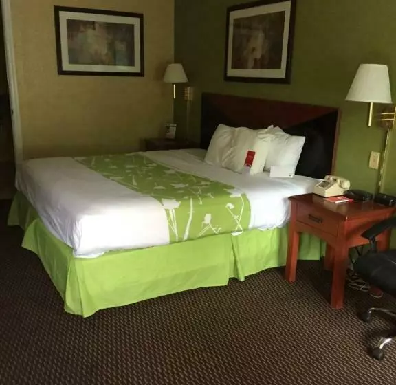 キングサイズベッドのスタンダードルーム, Econo Lodge