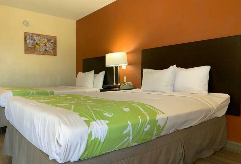 اتاق استاندارد با تخت بزرگ, Econo Lodge