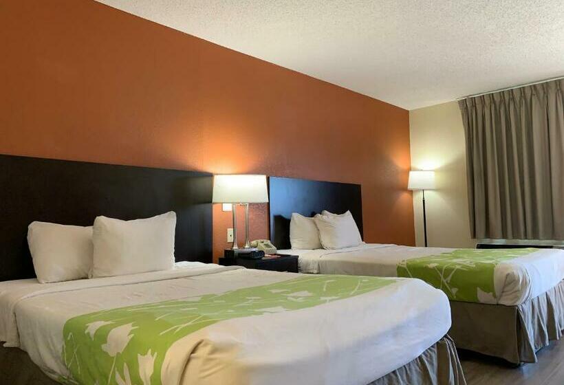 اتاق استاندارد با تخت بزرگ, Econo Lodge