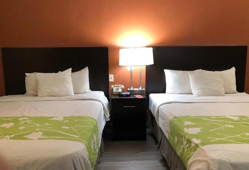 اتاق استاندارد با تخت بزرگ, Econo Lodge