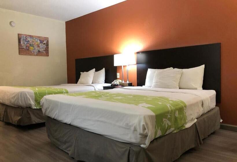 اتاق استاندارد با تخت بزرگ, Econo Lodge