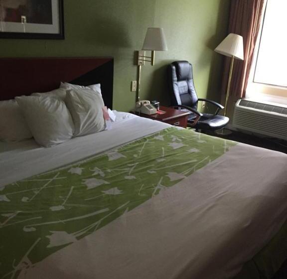 اتاق استاندارد با تخت بزرگ, Econo Lodge