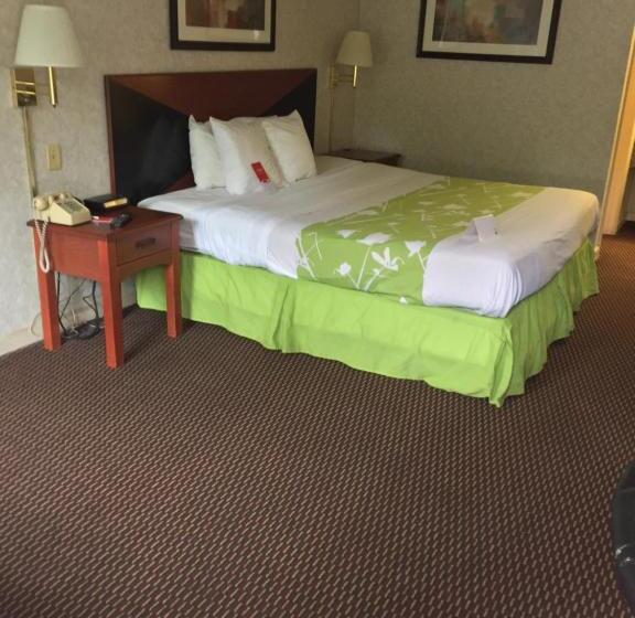 اتاق استاندارد با تخت بزرگ, Econo Lodge