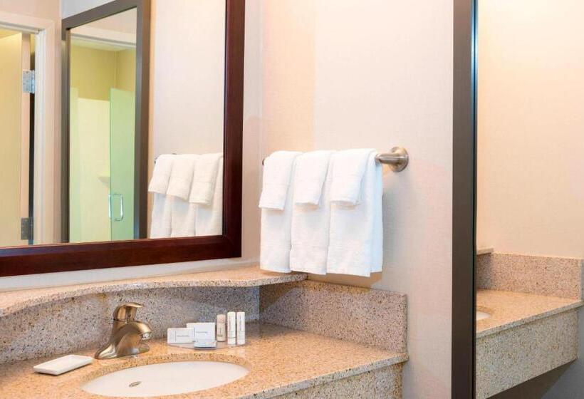 Студио Стандарт Кровать Кинг, Springhill Suites Midland