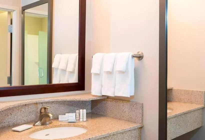 キングサイドベッドのスタンダードワンルーム, Springhill Suites Midland