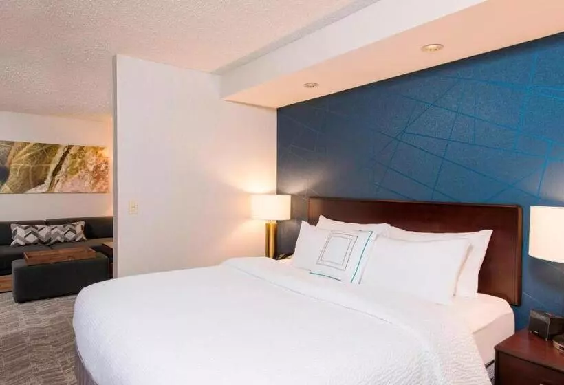 キングサイドベッドのスタンダードワンルーム, Springhill Suites Midland